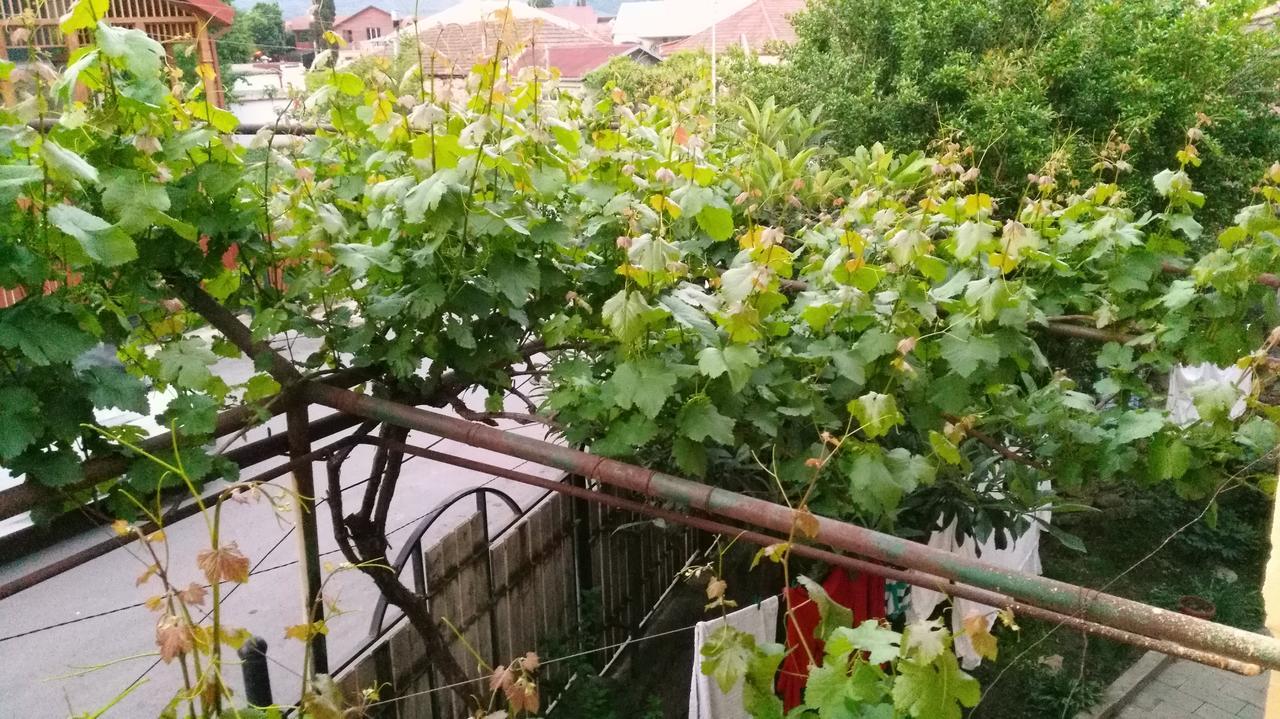 Guest House Gelit Mtsʼkhetʼa Exterior foto